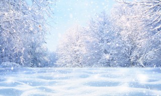 孕妇梦见大雪花是什么征兆（孕妇做梦梦到雪花）