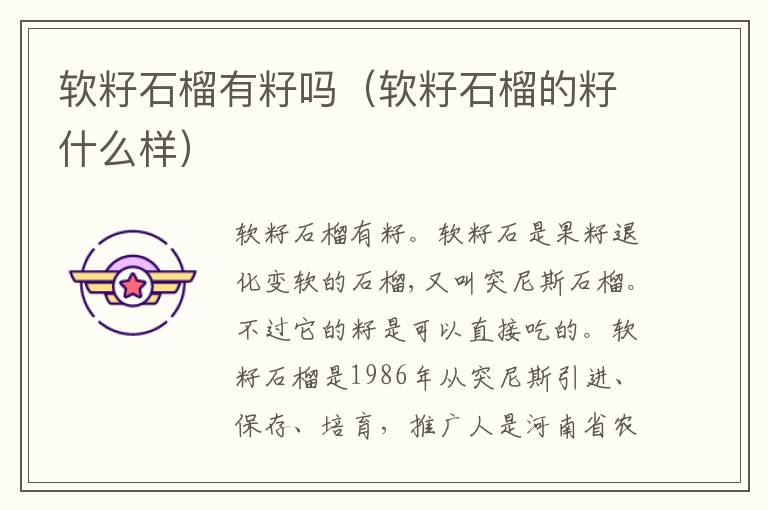软籽石榴有籽吗（软籽石榴的籽什么样）