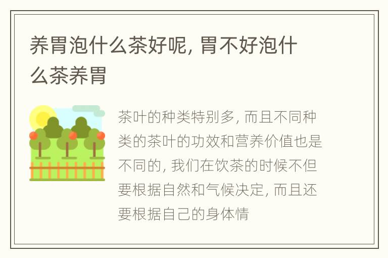 养胃泡什么茶好呢，胃不好泡什么茶养胃