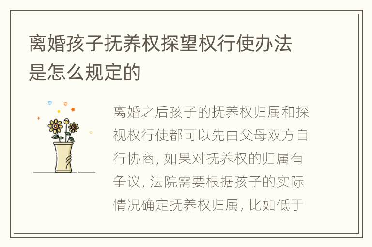 离婚孩子抚养权探望权行使办法是怎么规定的