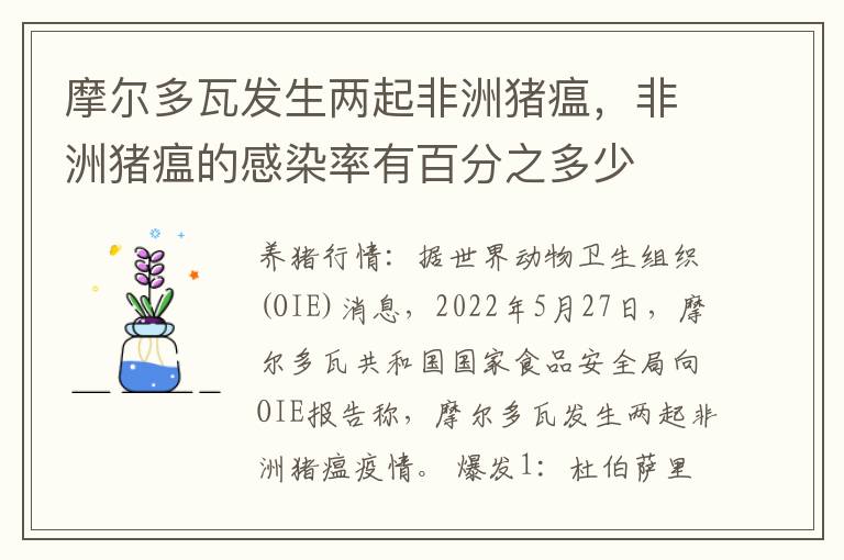 摩尔多瓦发生两起非洲猪瘟，非洲猪瘟的感染率有百分之多少