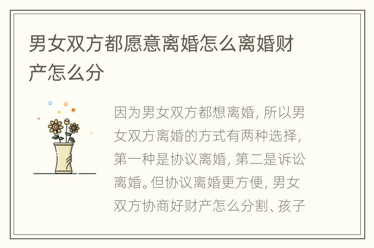 男女双方都愿意离婚怎么离婚财产怎么分