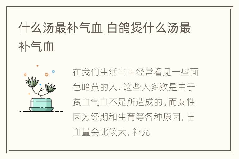 什么汤最补气血 白鸽煲什么汤最补气血