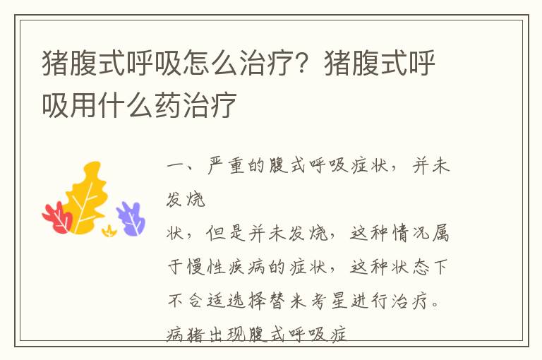 猪腹式呼吸怎么治疗？猪腹式呼吸用什么药治疗