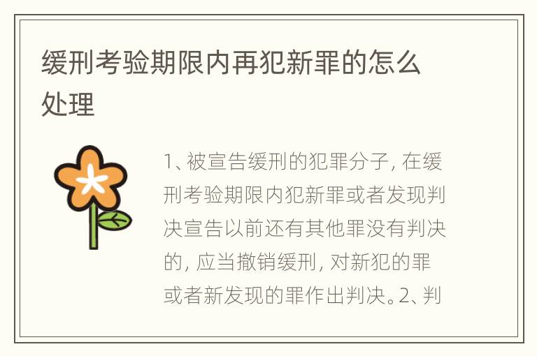 缓刑考验期限内再犯新罪的怎么处理