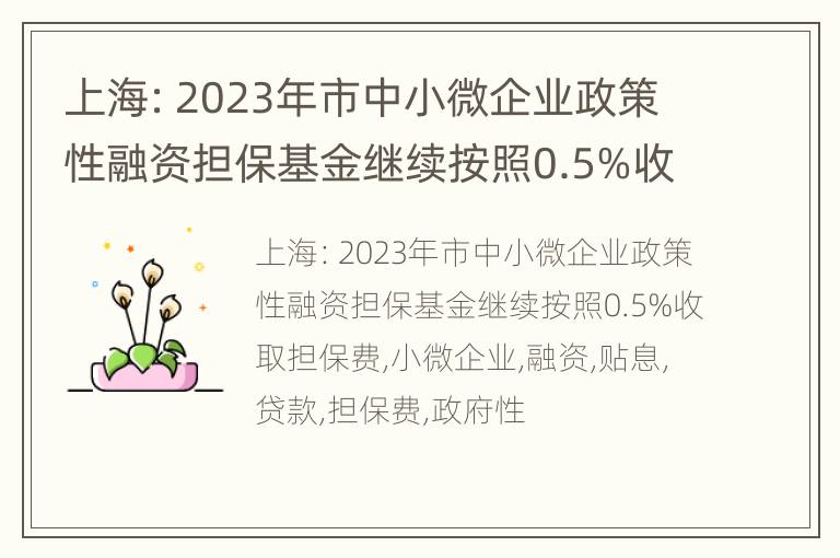 上海：2023年市中小微企业政策性融资担保基金继续按照0.5%收取担保费