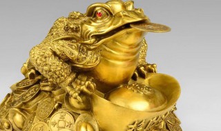 蟾蜍的寓意和象征 蟾蜍代表的意思