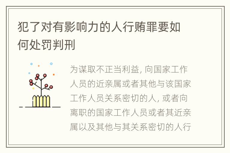 犯了对有影响力的人行贿罪要如何处罚判刑