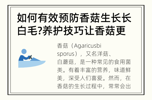 如何有效预防香菇生长长白毛? 养护技巧让香菇更美味
