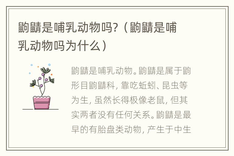 鼩鼱是哺乳动物吗？（鼩鼱是哺乳动物吗为什么）