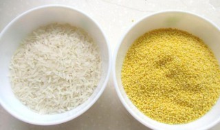 小米和大米可以一起煮吗 小米和大米可不可以一起煮