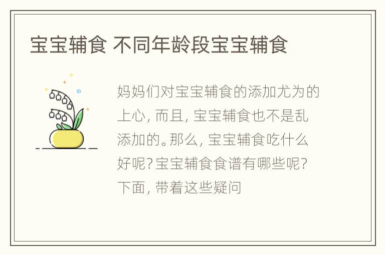 宝宝辅食 不同年龄段宝宝辅食