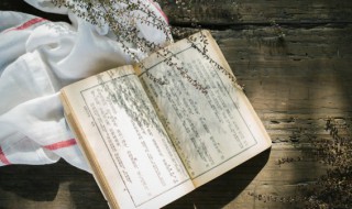 诗经式微原文及翻译（诗经式微原文及翻译古诗文）