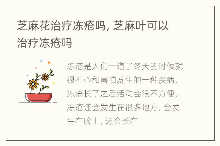 芝麻花治疗冻疮吗，芝麻叶可以治疗冻疮吗