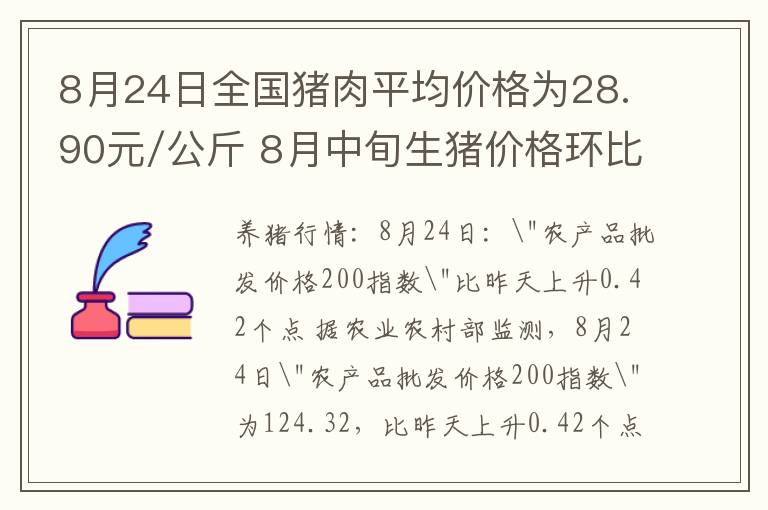 8月24日全国猪肉平均价格为28.90元/公斤 8月中旬生猪价格环比下跌0