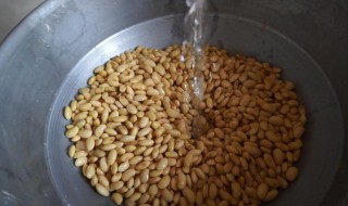 豆腐用黄豆怎么做 用黄豆做豆腐方法介绍