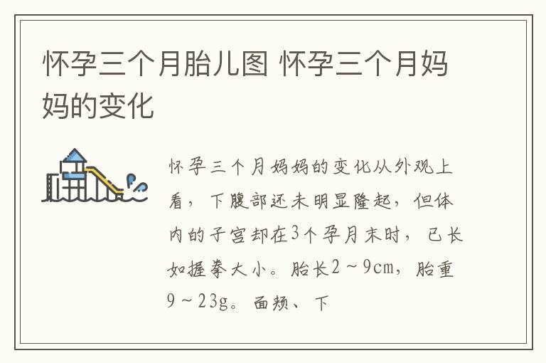 怀孕三个月胎儿图 怀孕三个月妈妈的变化