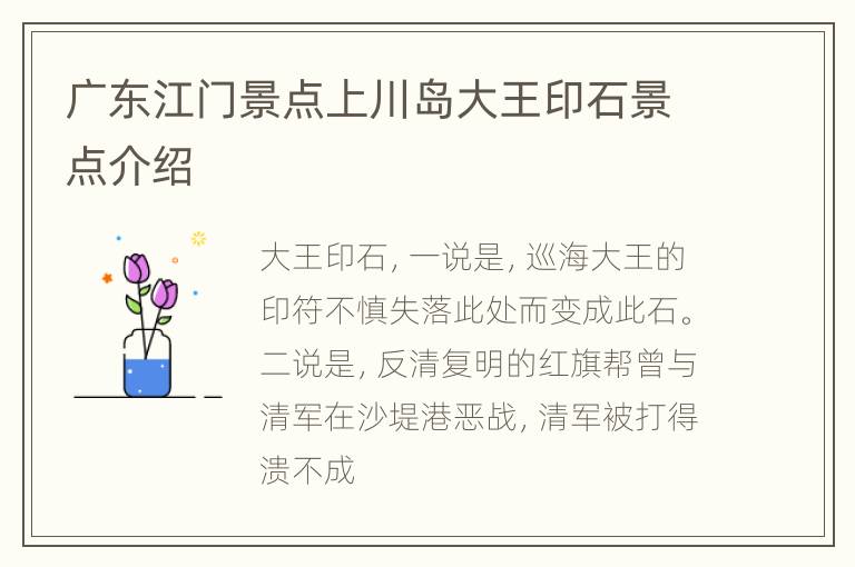 广东江门景点上川岛大王印石景点介绍