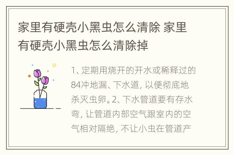家里有硬壳小黑虫怎么清除 家里有硬壳小黑虫怎么清除掉