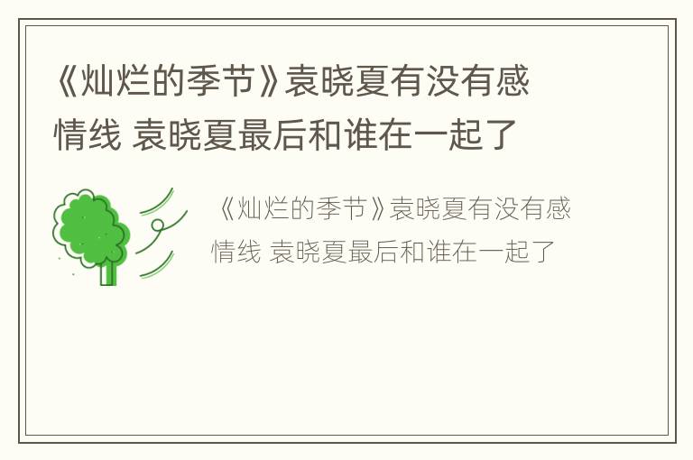 《灿烂的季节》袁晓夏有没有感情线 袁晓夏最后和谁在一起了