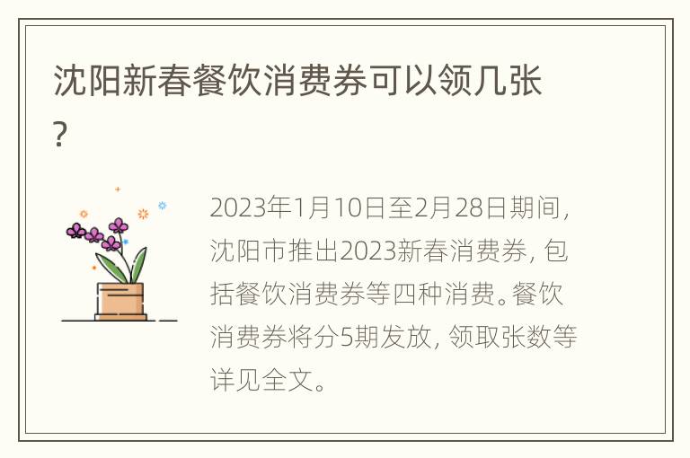 沈阳新春餐饮消费券可以领几张？