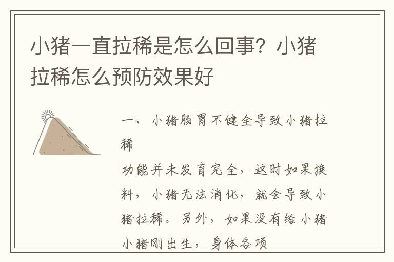 小猪一直拉稀是怎么回事？小猪拉稀怎么预防效果好