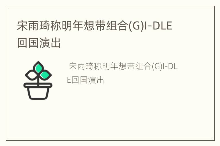 宋雨琦称明年想带组合(G)I-DLE回国演出