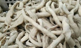 羊肠怎么翻过来洗? 洗羊肠方法