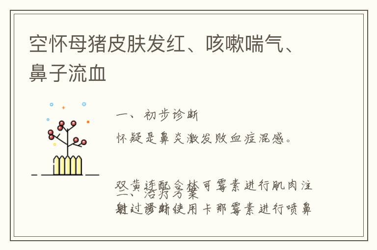 空怀母猪皮肤发红、咳嗽喘气、鼻子流血