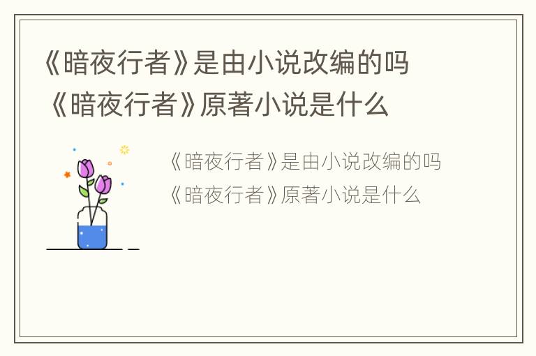 《暗夜行者》是由小说改编的吗 《暗夜行者》原著小说是什么