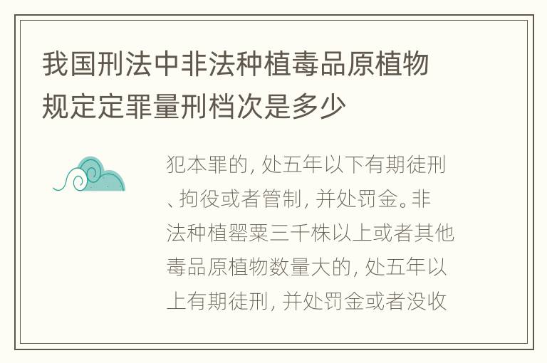我国刑法中非法种植毒品原植物规定定罪量刑档次是多少