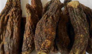 肉苁蓉的功效作用及食用方法 肉苁蓉作用是什么