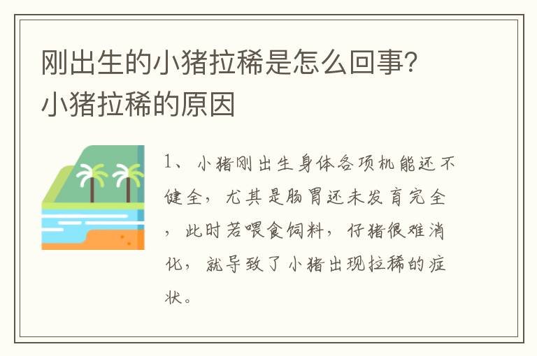 刚出生的小猪拉稀是怎么回事？小猪拉稀的原因
