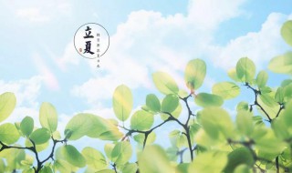 关于立夏的古诗 关于立夏的古诗及解释
