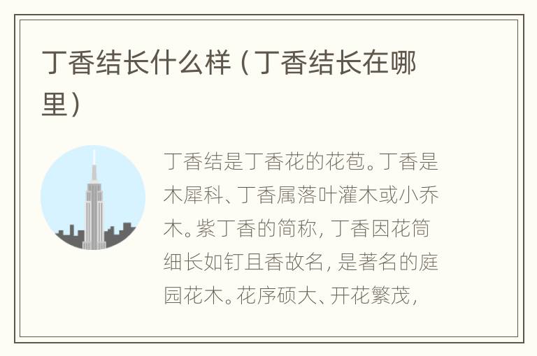 丁香结长什么样（丁香结长在哪里）