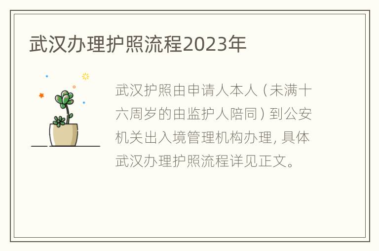 武汉办理护照流程2023年