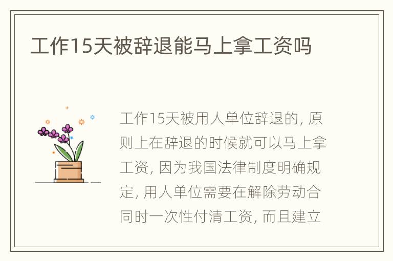 工作15天被辞退能马上拿工资吗