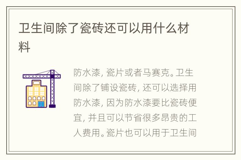 卫生间除了瓷砖还可以用什么材料