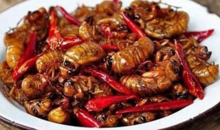 吃爬炸有什么好处 油炸爬叉有啥好处