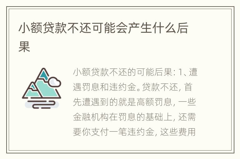小额贷款不还可能会产生什么后果