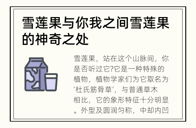 雪莲果与你我之间 雪莲果的神奇之处
