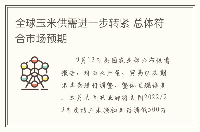 全球玉米供需进一步转紧 总体符合市场预期