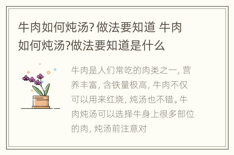 牛肉如何炖汤？做法要知道 牛肉如何炖汤?做法要知道是什么
