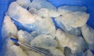 海蜇头食用的禁忌 海蜇头的食用禁忌有哪些