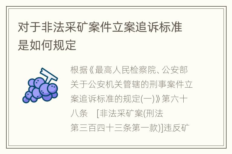 对于非法采矿案件立案追诉标准是如何规定