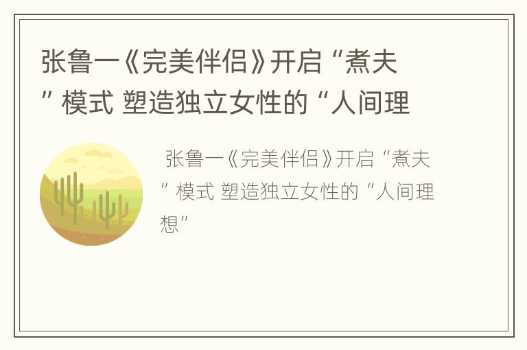 张鲁一《完美伴侣》开启“煮夫”模式 塑造独立女性的“人间理想”