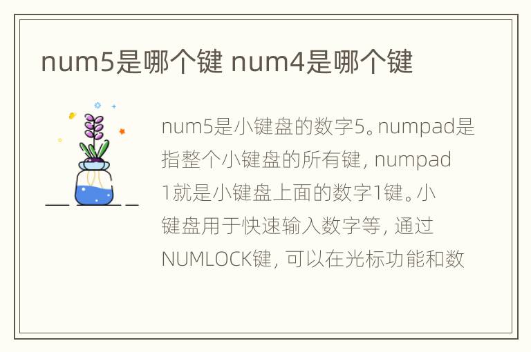 num5是哪个键 num4是哪个键