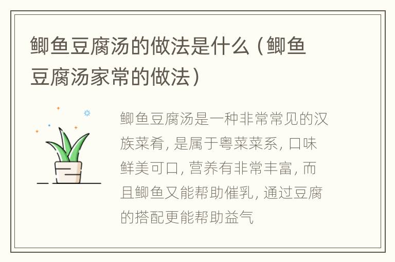 鲫鱼豆腐汤的做法是什么（鲫鱼豆腐汤家常的做法）