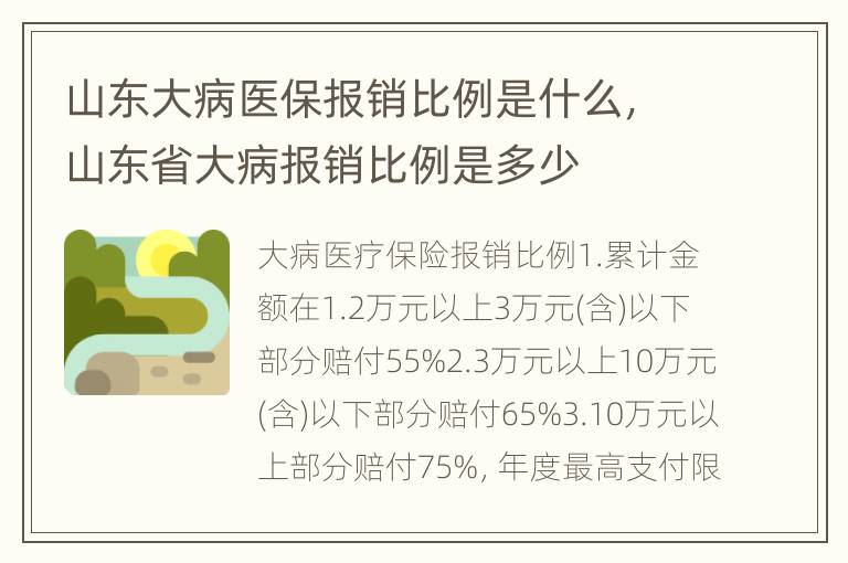 山东大病医保报销比例是什么，山东省大病报销比例是多少