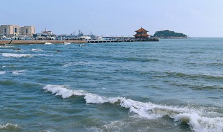 青岛哪些景点免费（现在青岛哪些景点免费）